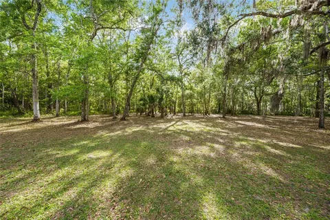 a view of outdoor space with trees all around