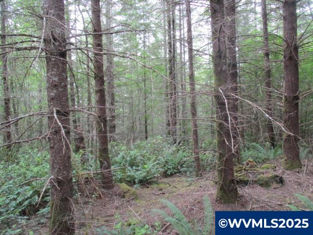 0 Gruber South Road Estacada, OR 97023 - Photo 20 of 30