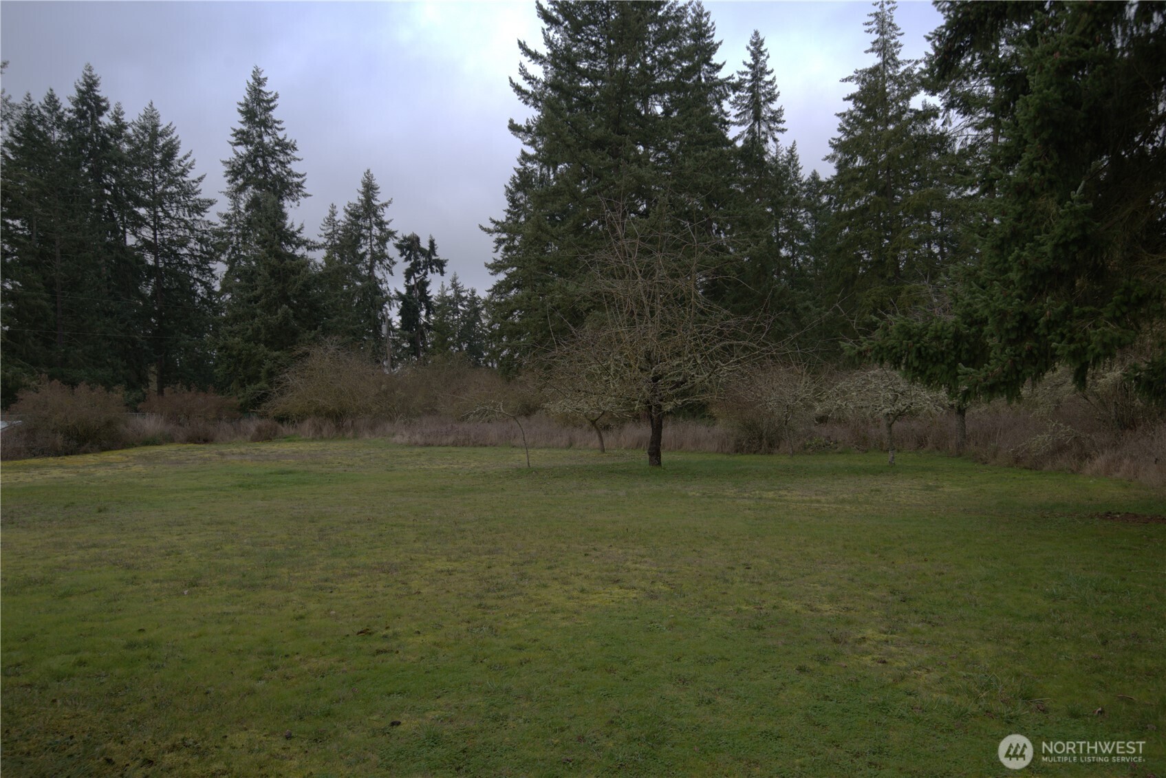 63 Avellana Road Sequim, WA 98382 - Photo 11 of 11