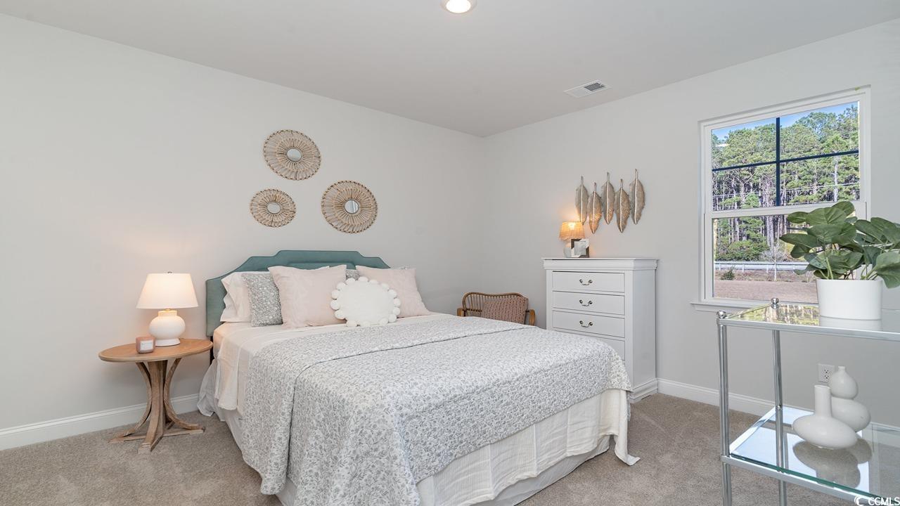 582 Haven View Way Murrells Inlet, SC 29576 - Photo 9 of 17 Gallery Image 9