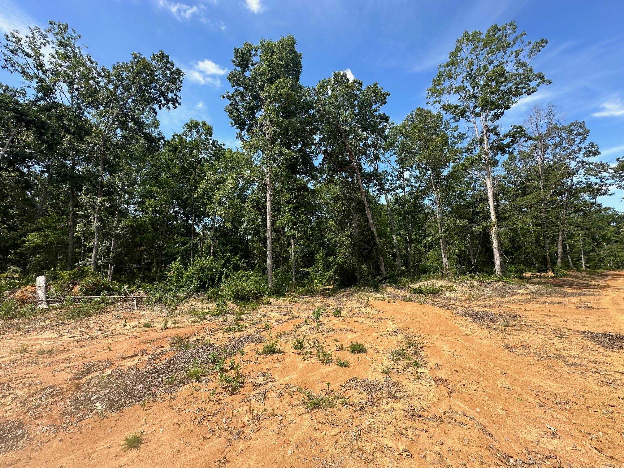 9 Bruton Road Savannah, TN 38372 - Photo 11 of 20 View of nature