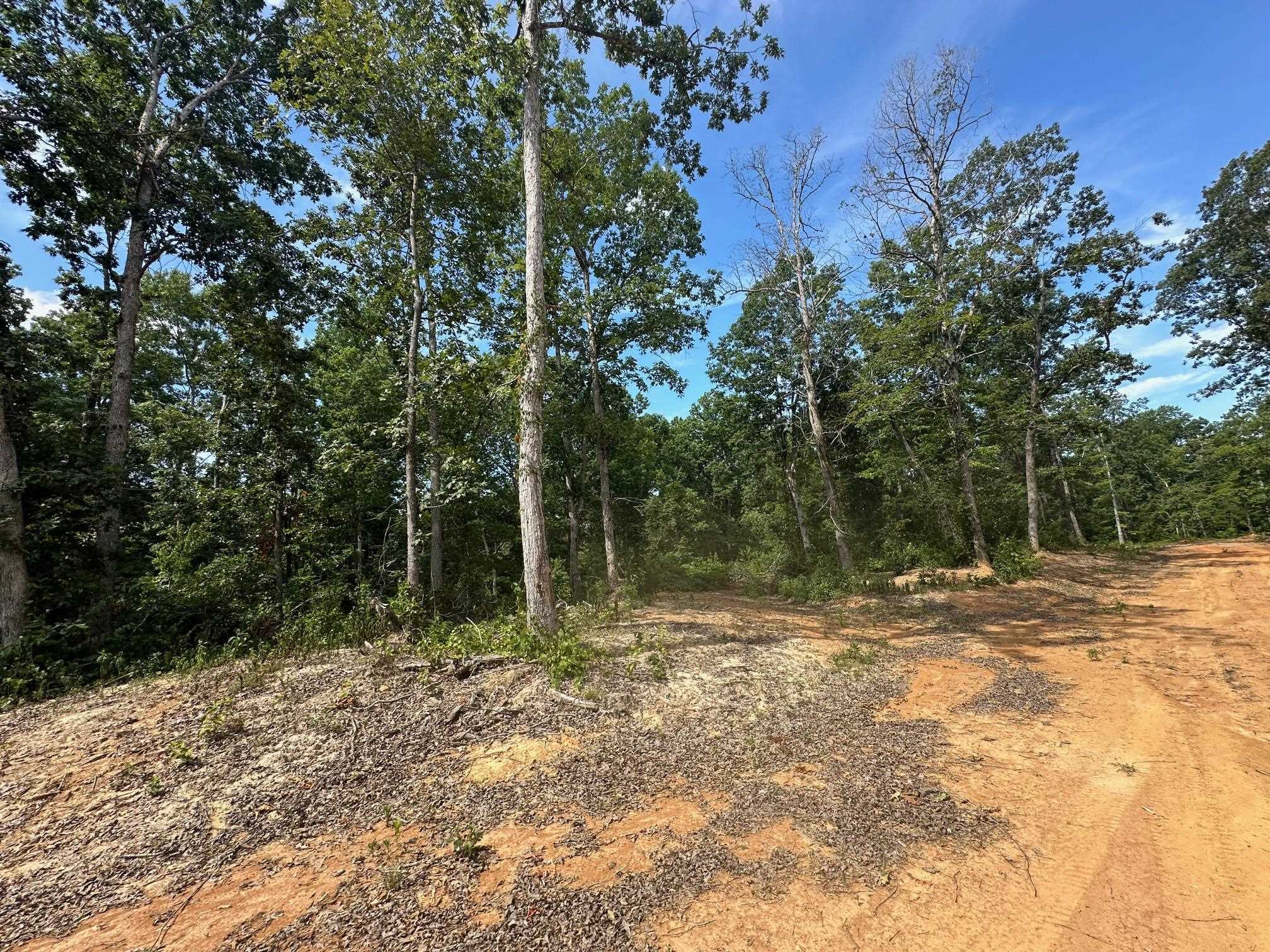 9 Bruton Road Savannah, TN 38372 - Photo 12 of 20 View of nature
