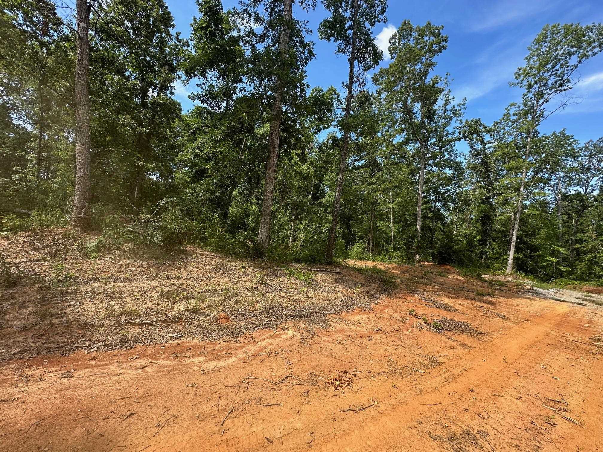 9 Bruton Road Savannah, TN 38372 - Photo 14 of 20 View of local wilderness