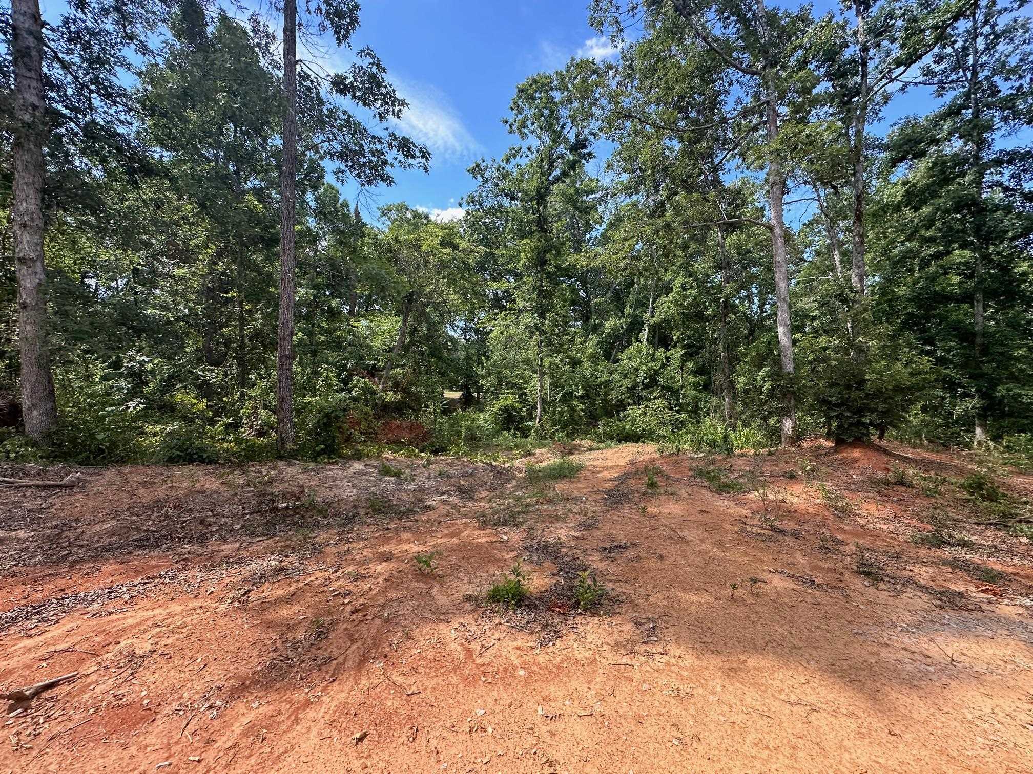 9 Bruton Road Savannah, TN 38372 - Photo 15 of 20 View of local wilderness