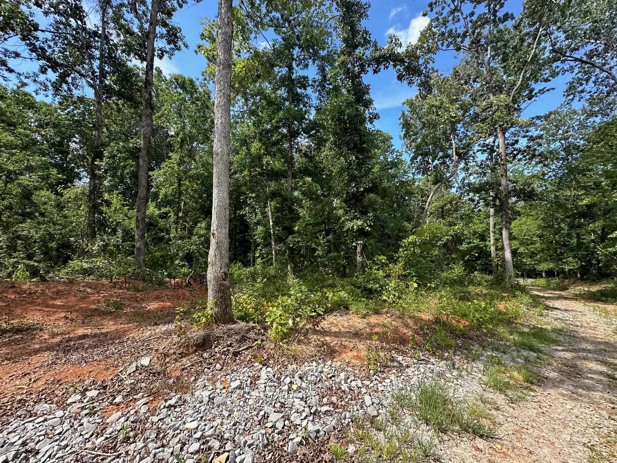 9 Bruton Road Savannah, TN 38372 - Photo 16 of 20 View of landscape