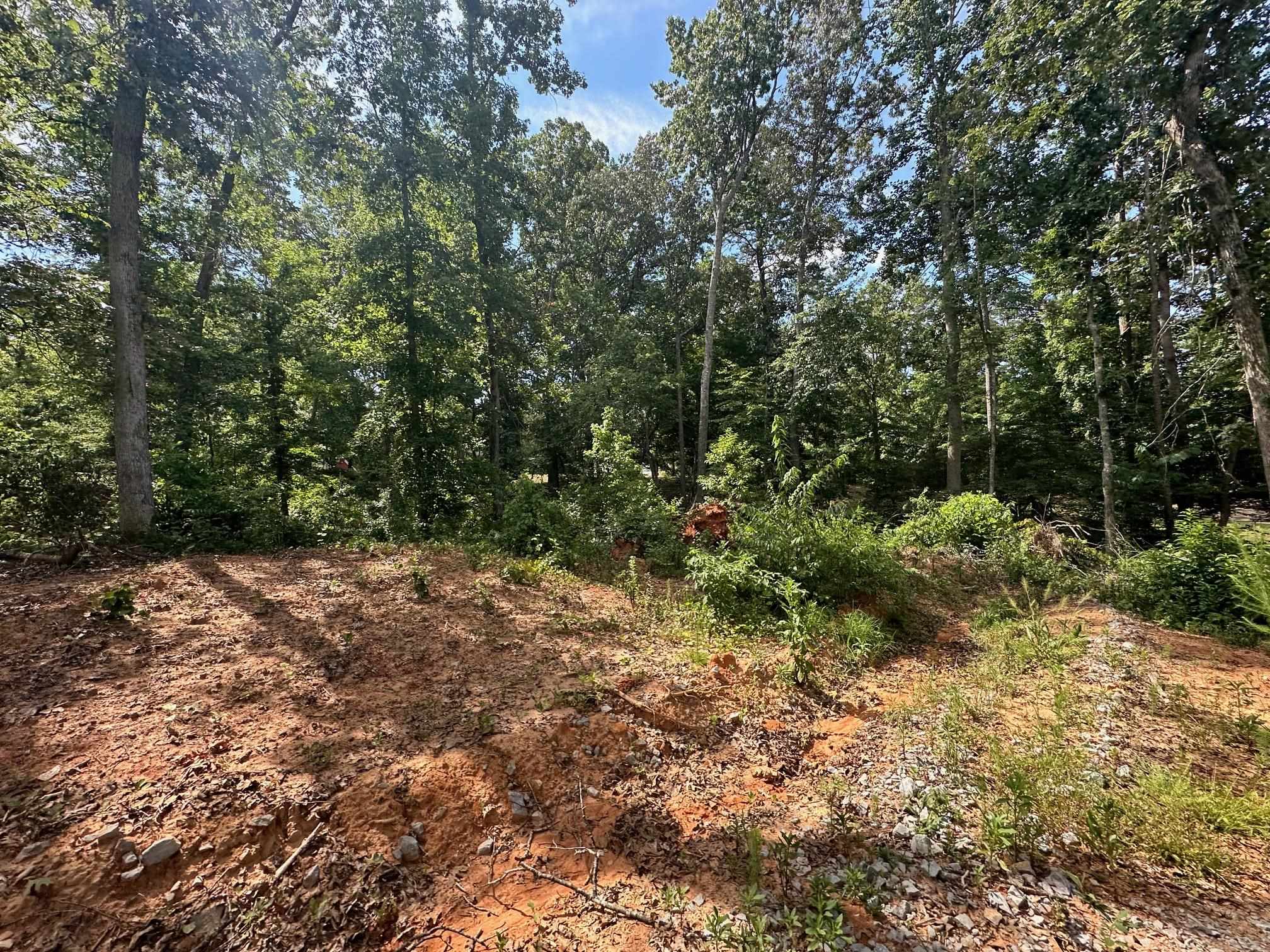 9 Bruton Road Savannah, TN 38372 - Photo 17 of 20 View of nature