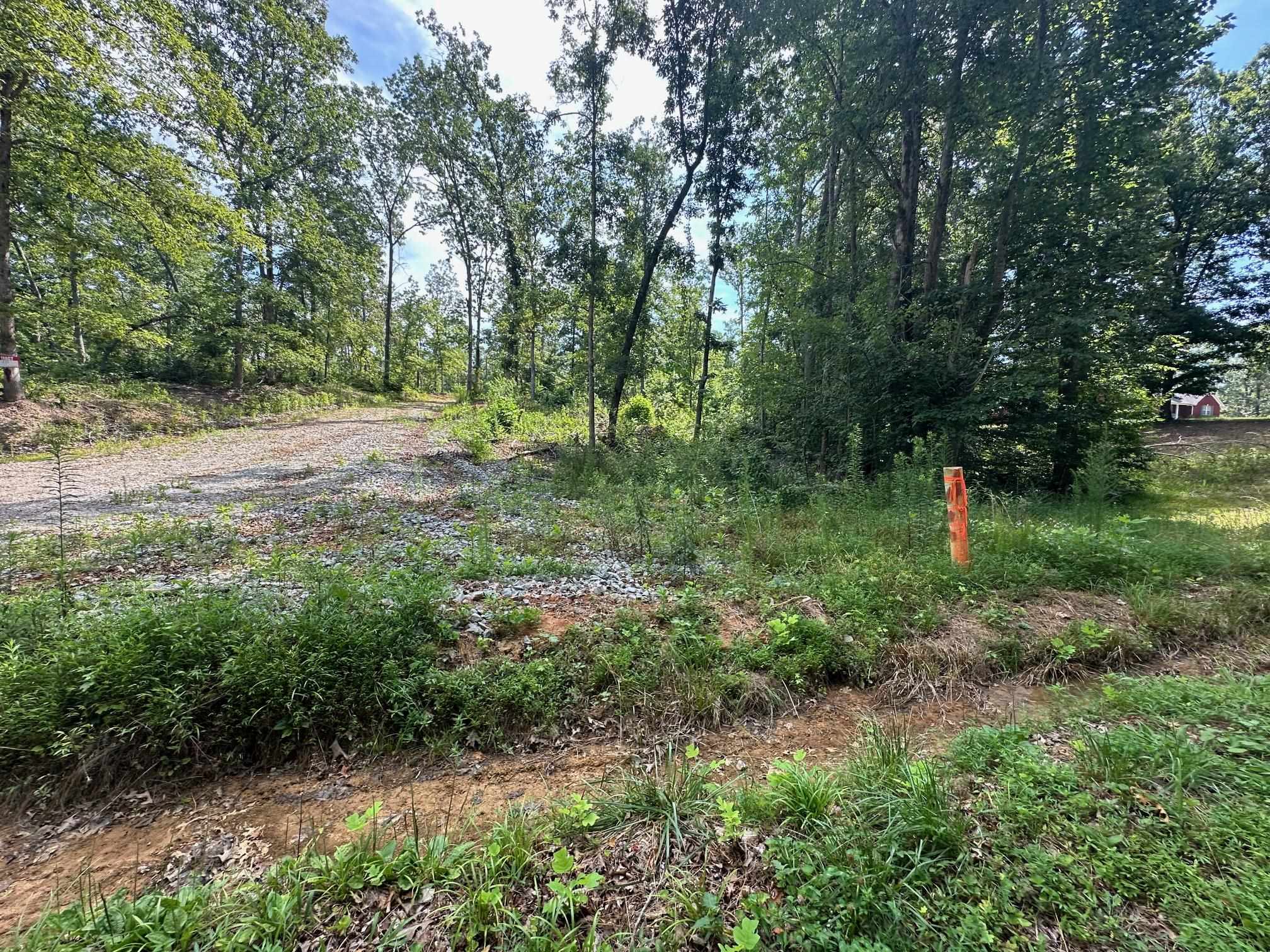 9 Bruton Road Savannah, TN 38372 - Photo 19 of 20 View of yard