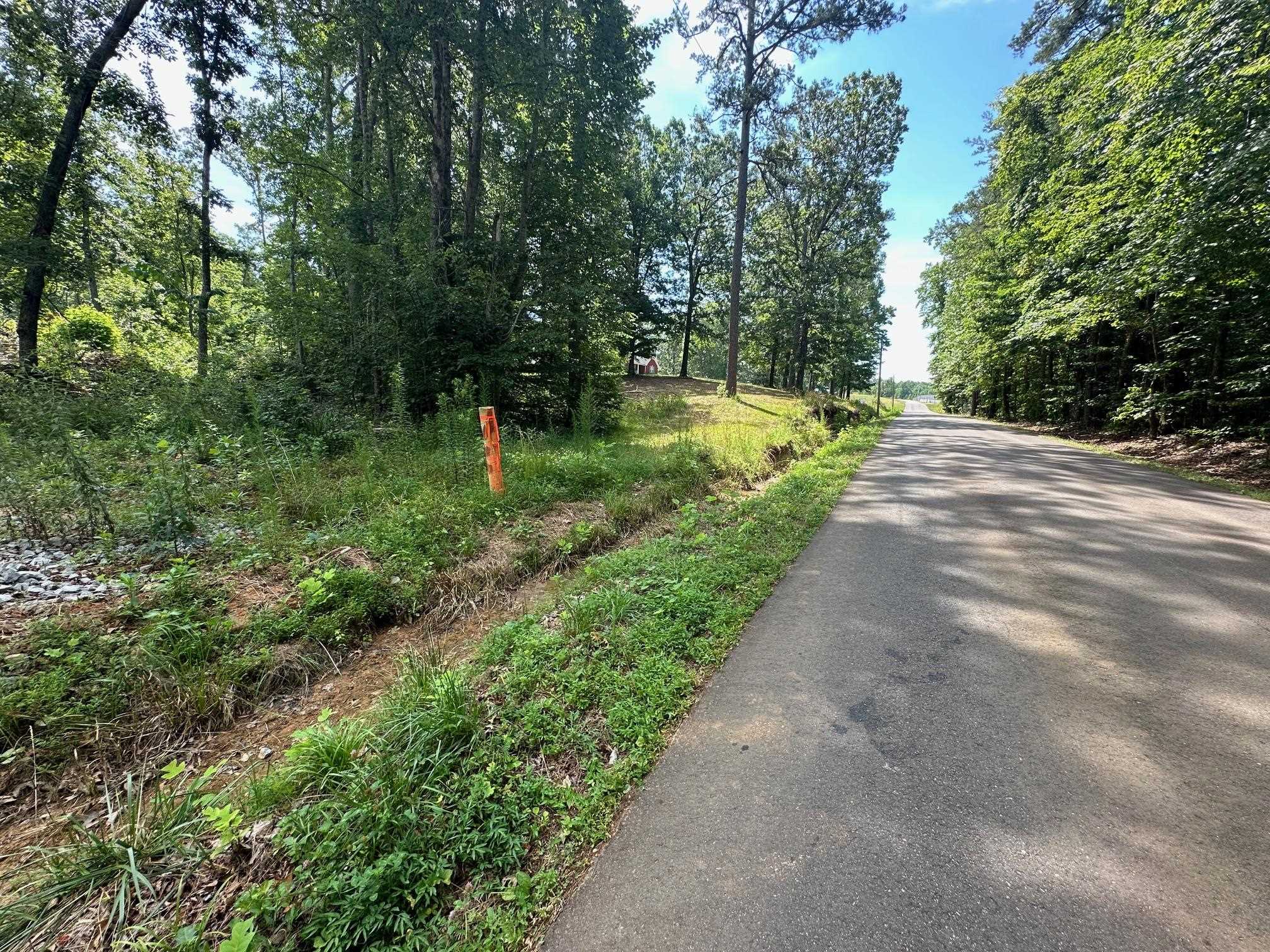 9 Bruton Road Savannah, TN 38372 - Photo 20 of 20 View of road