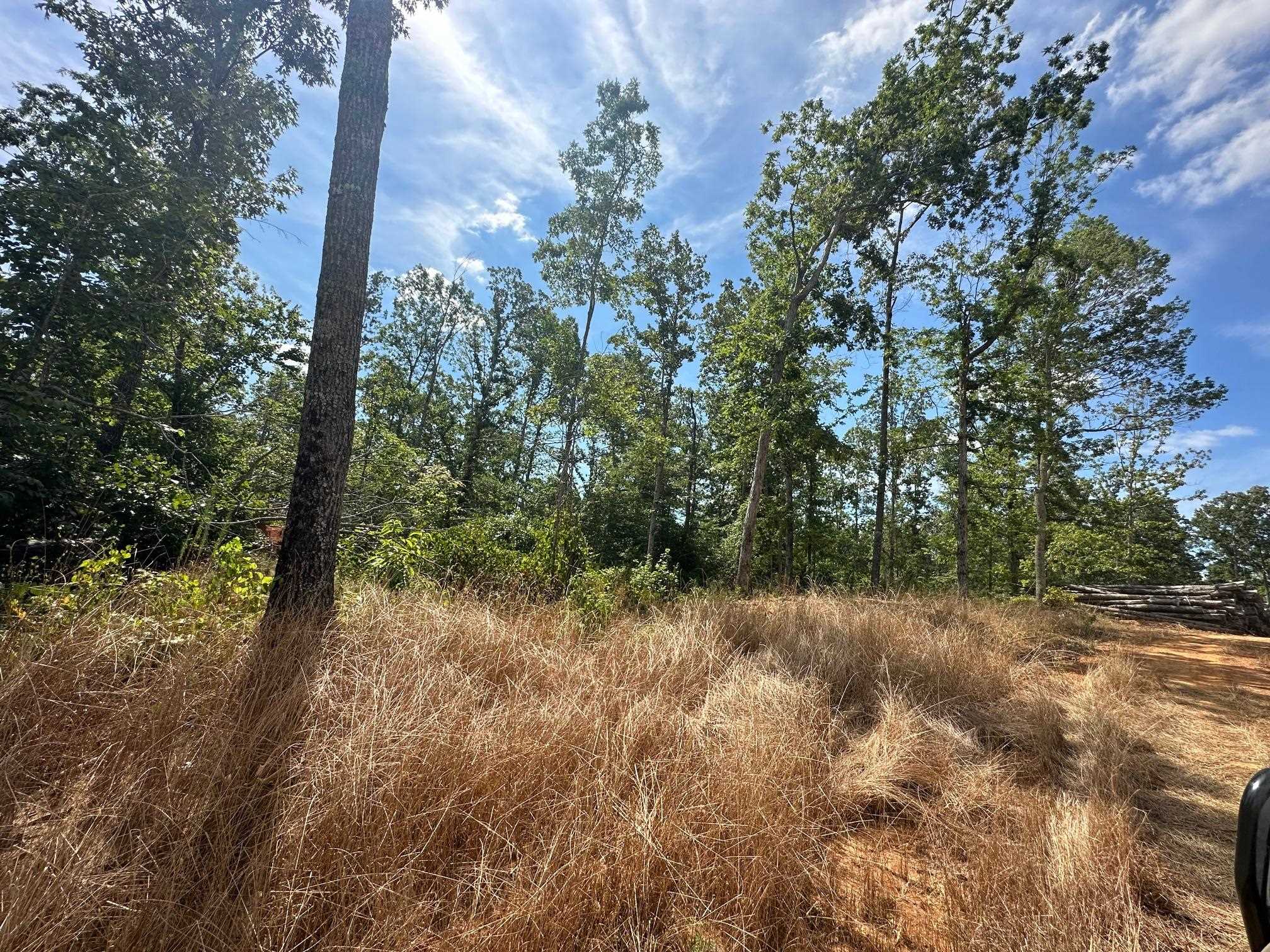 9 Bruton Road Savannah, TN 38372 - Photo 3 of 20 View of nature