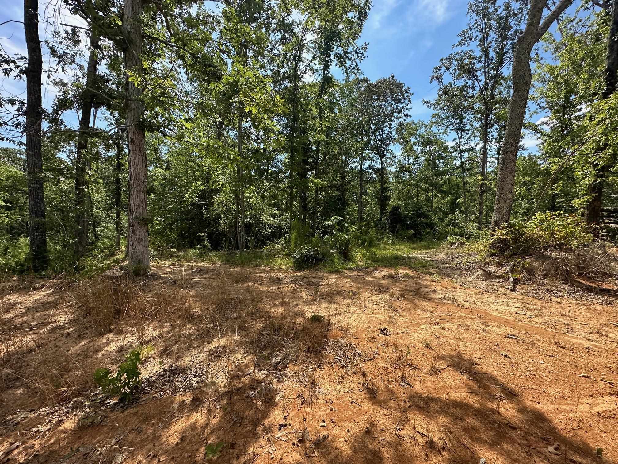 9 Bruton Road Savannah, TN 38372 - Photo 6 of 20 View of landscape