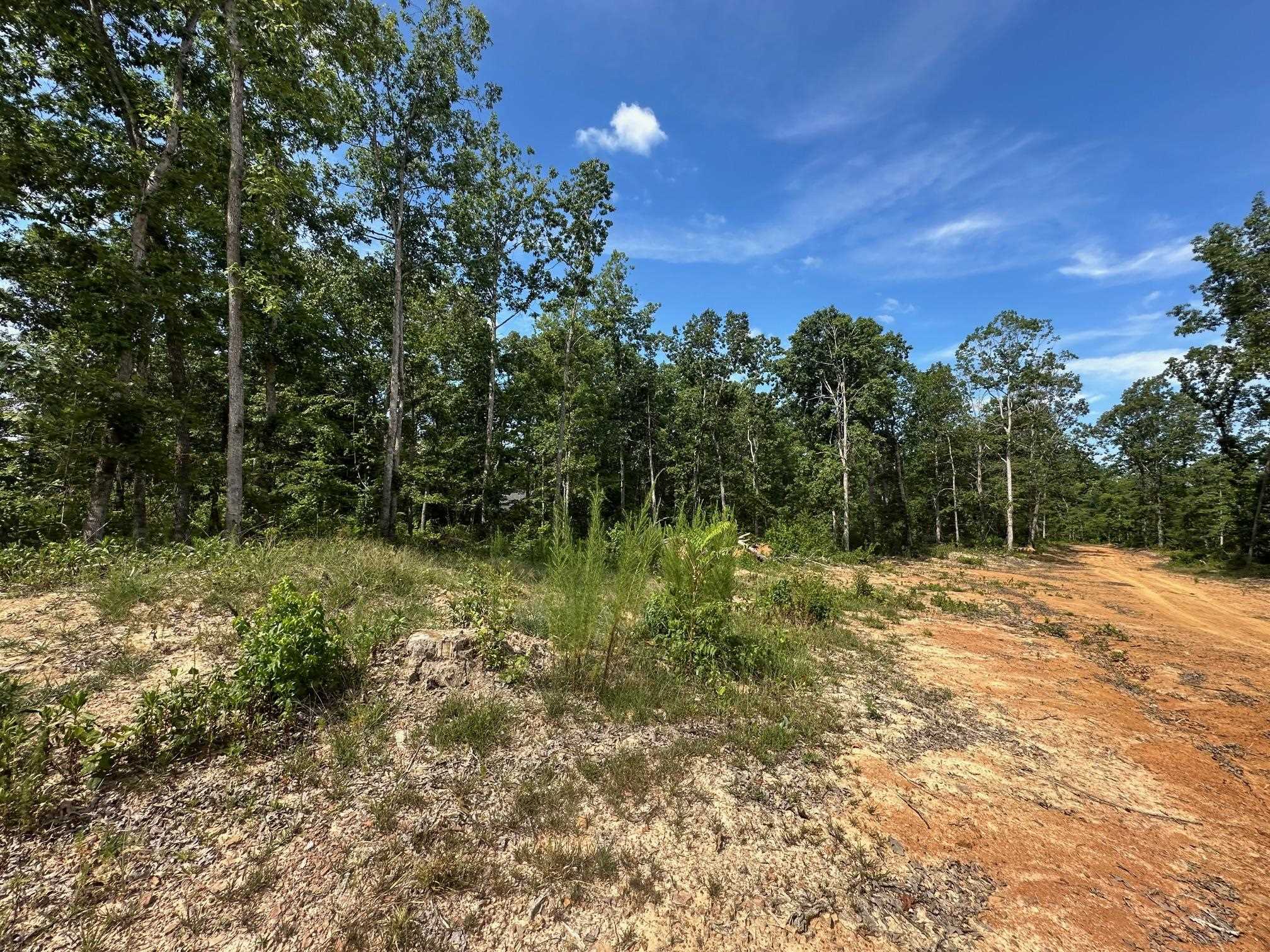 9 Bruton Road Savannah, TN 38372 - Photo 10 of 20 View of landscape