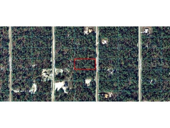 0 Southwest 135th Terrace Road Ocala, FL 34481 - Photo 1 of 1 Primary Photo