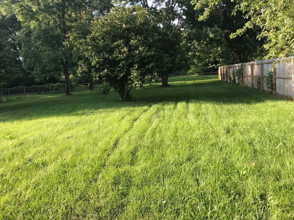 1602 Evergreen Road Columbus, OH 43207 - Photo 10 of 27 Gallery Image 10