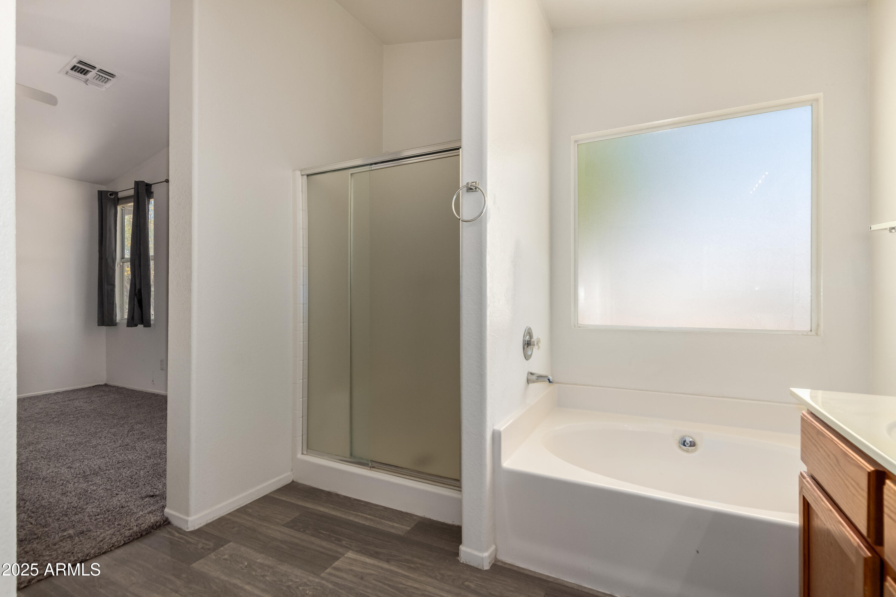 16112 West Buchanan Street Goodyear, AZ 85338 - Photo 10 of 17 MASTER BATH