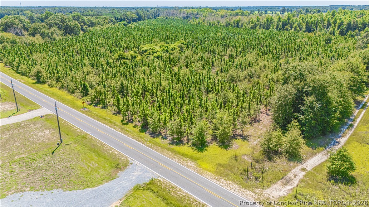 Tbd Blue Springs Road Red Springs, NC 28377 - Photo 5 of 11 Gallery Image 5
