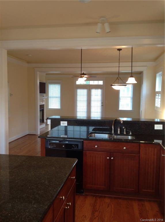 117 Lilac Mist Loop Davidson, NC 28115 - Photo 4 of 13 Gallery Image 4
