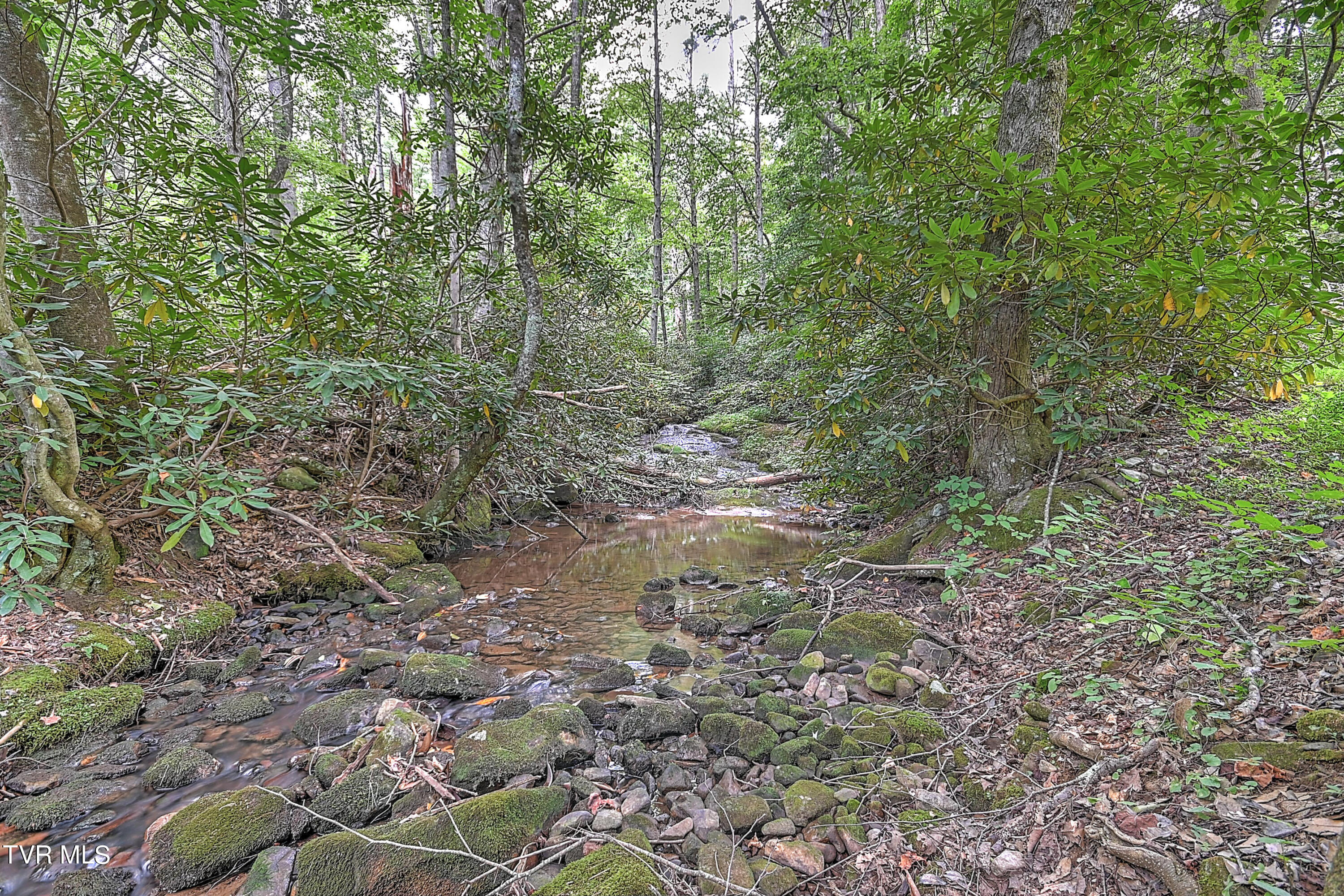 265 Laurel Branch Road Elizabethton, TN 37643 - Photo 54 of 65 265 Laurel Branch JV-54