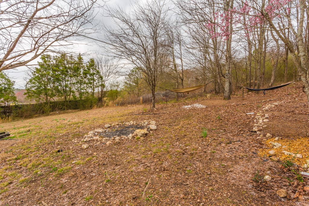 5016 Standifer Road Cohutta, GA 30710 - Photo 43 of 45 Gallery Image 43