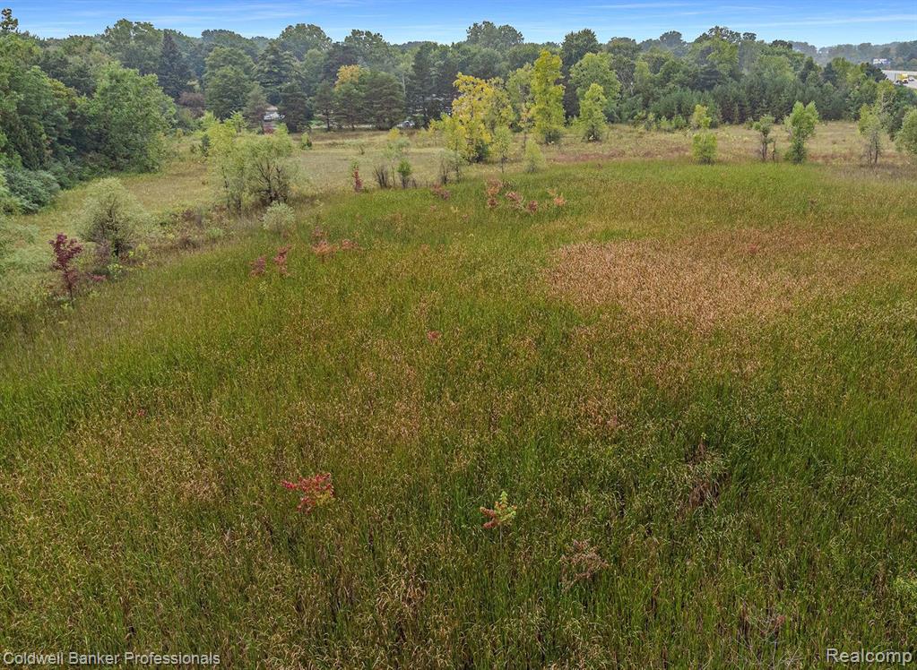 1001 South Vassar Road Davison, MI 48423 - Photo 2 of 11