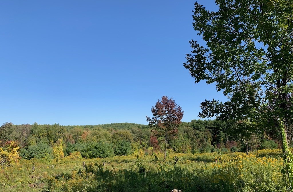 Lot 19 Lot Road Sterling, MA 01564 - Photo 2 of 3 Gallery Image 2