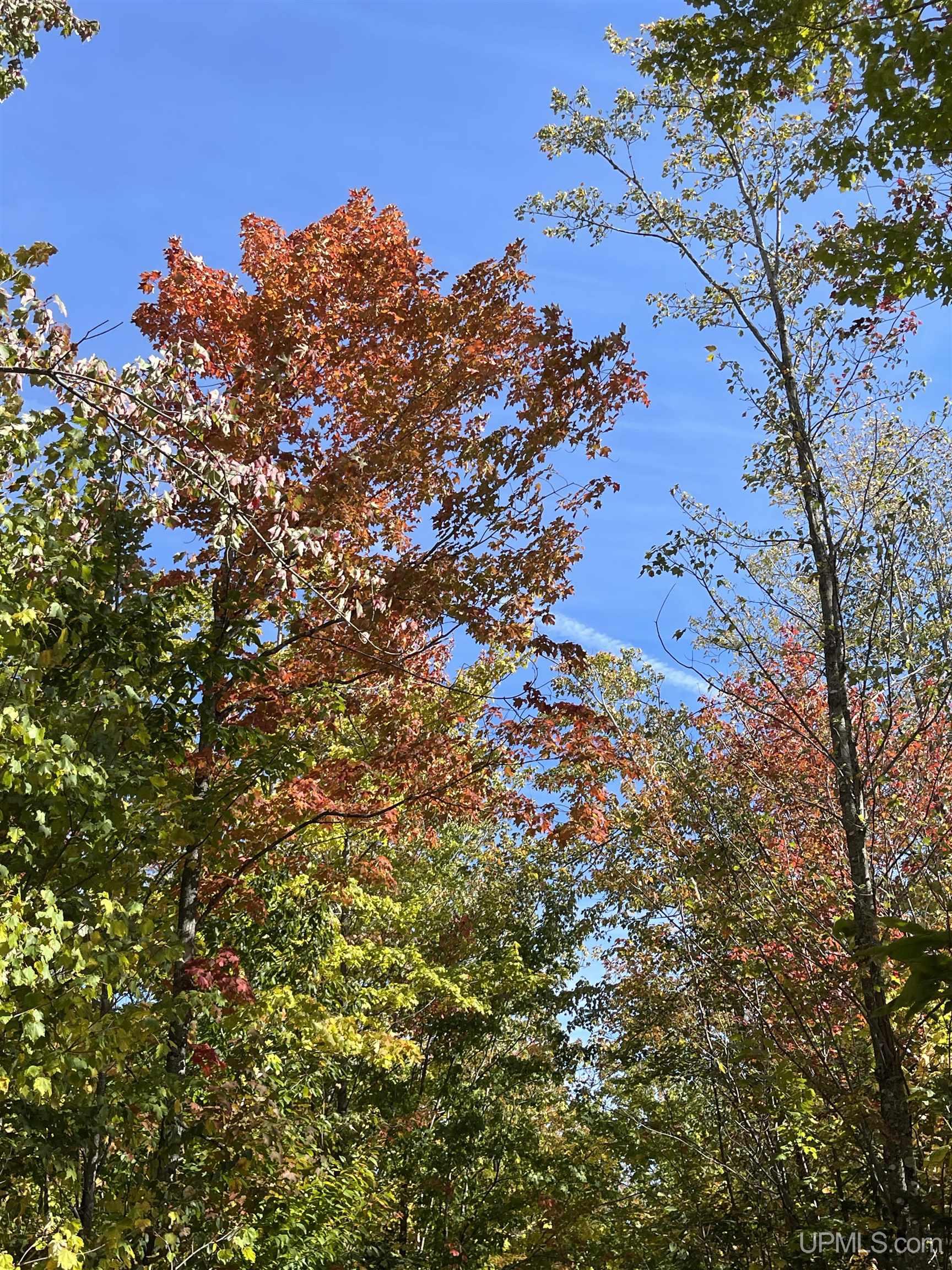 160 Acres Off H-58 Road Seney, MI 49883 - Photo 20 of 26