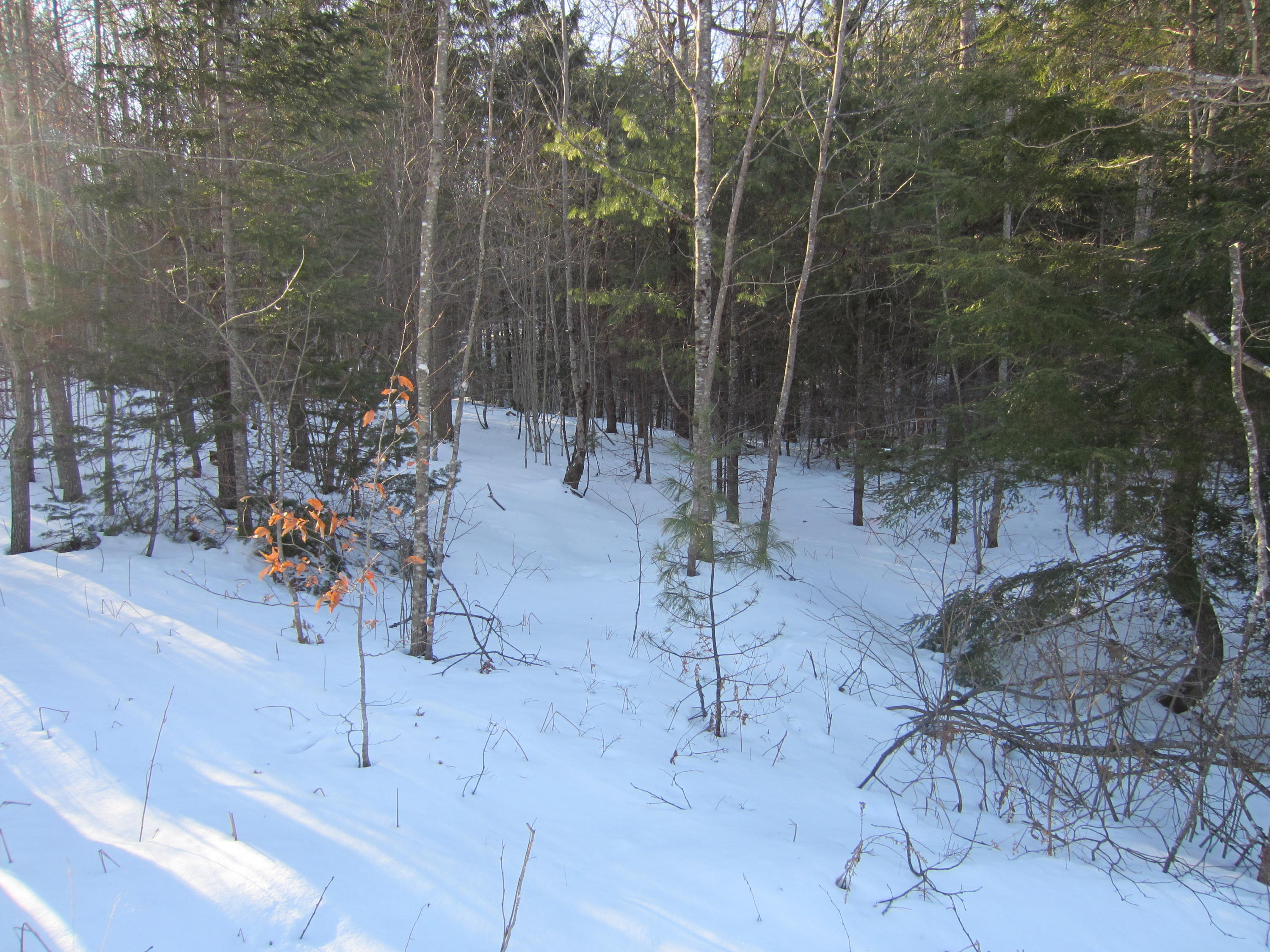 0 Wagg Road Bowdoin, ME 04287 - Photo 7 of 8 IMG_4788