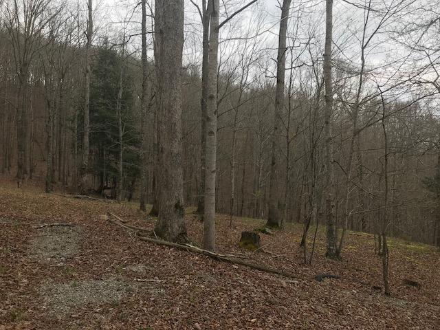 1298 Wesley Chapel Road Somerset, KY 42501 - Photo 5 of 24 IMG_3552