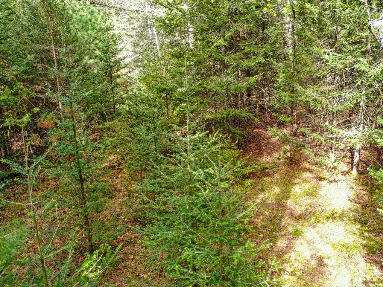 On Rice Lane, Unit LOT 7 Eagle River, WI 54521 - Photo 15 of 26 Gallery Image 15
