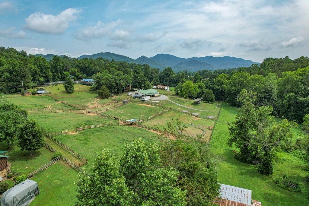 7818 Berry Williams Road Townsend, TN 37882 - Photo 3 of 34 a view of a lush green hillside and houses
