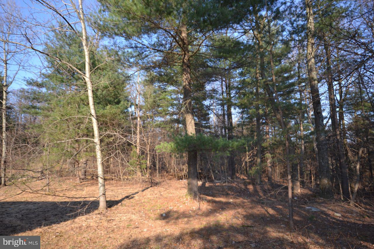 465 Clear Spring Road Biglerville, PA 17307 - Photo 11 of 29 Gallery Image 11