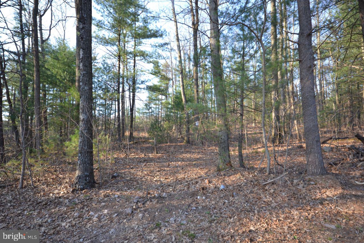 465 Clear Spring Road Biglerville, PA 17307 - Photo 13 of 29 Gallery Image 13
