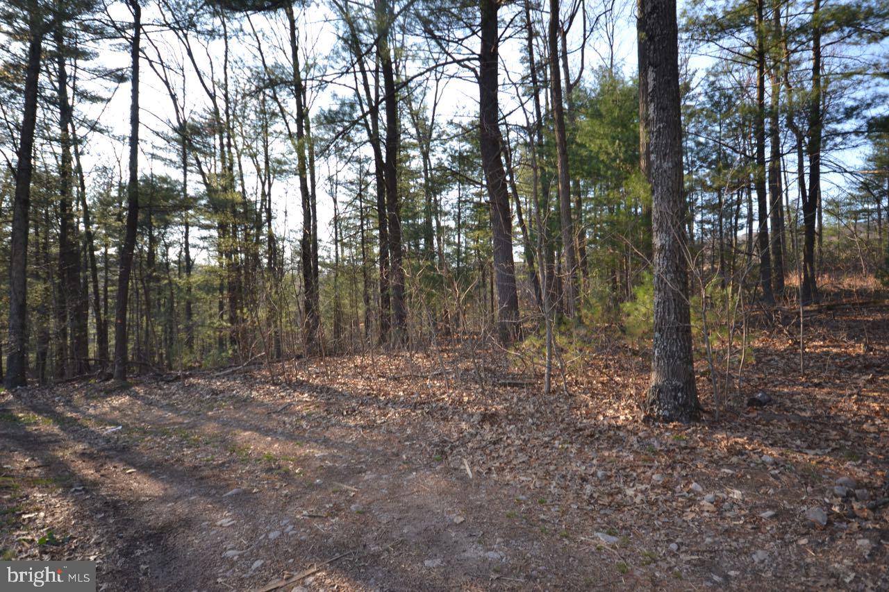 465 Clear Spring Road Biglerville, PA 17307 - Photo 14 of 29 Gallery Image 14