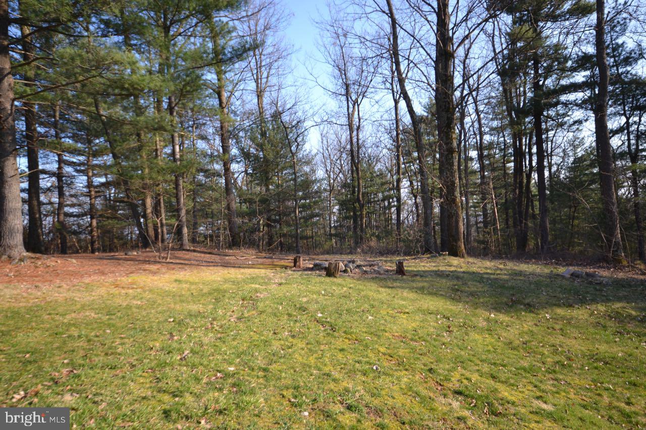 465 Clear Spring Road Biglerville, PA 17307 - Photo 7 of 29 Gallery Image 7
