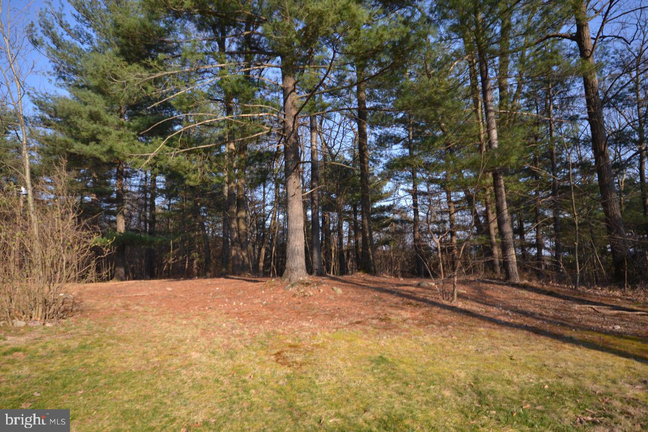 465 Clear Spring Road Biglerville, PA 17307 - Photo 9 of 29 Gallery Image 9