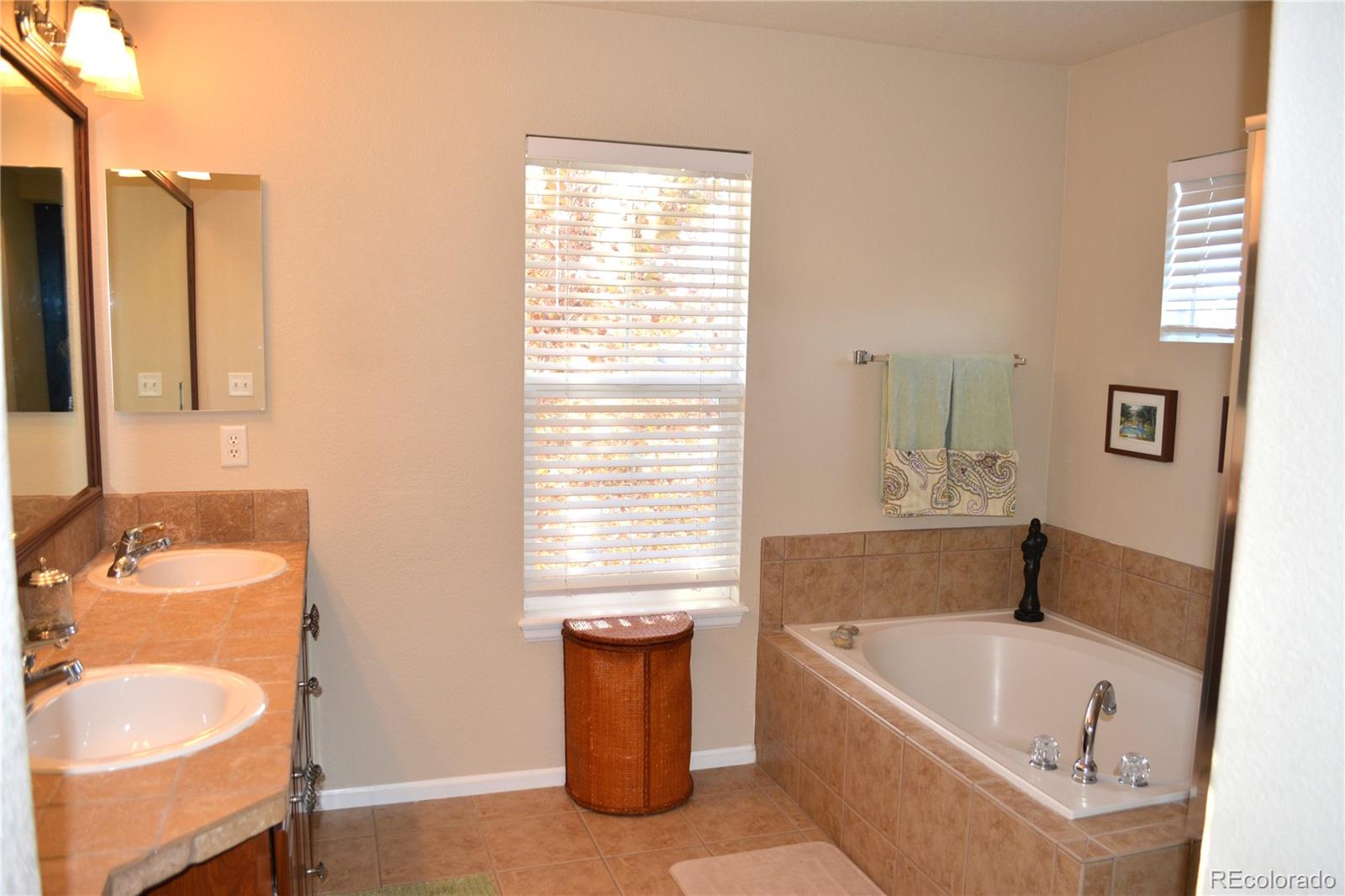 10836 Brooklawn Road Highlands Ranch, CO 80130 - Photo 12 of 25