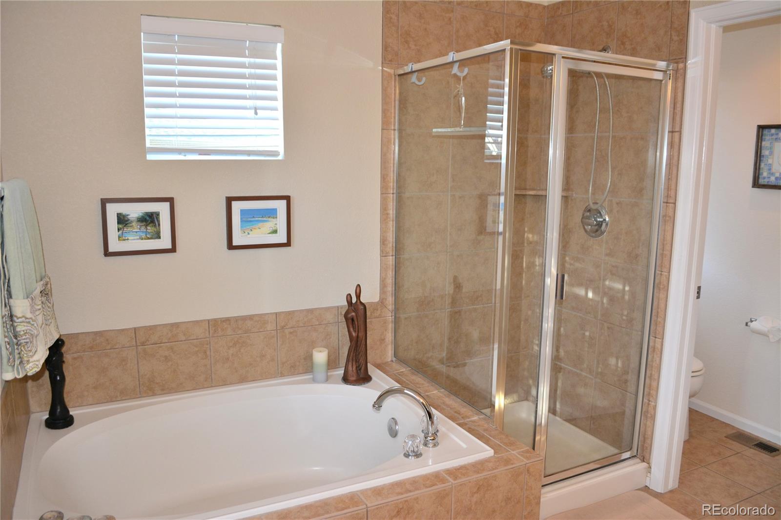 10836 Brooklawn Road Highlands Ranch, CO 80130 - Photo 13 of 25