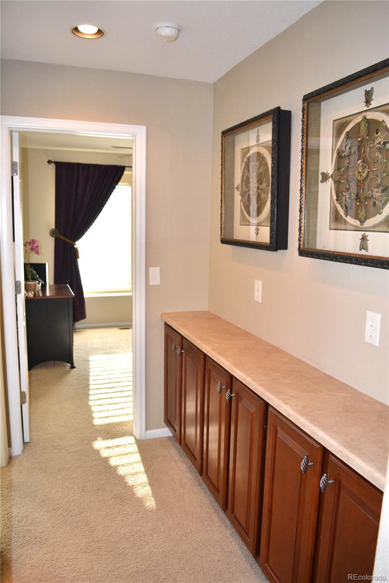 10836 Brooklawn Road Highlands Ranch, CO 80130 - Photo 21 of 25