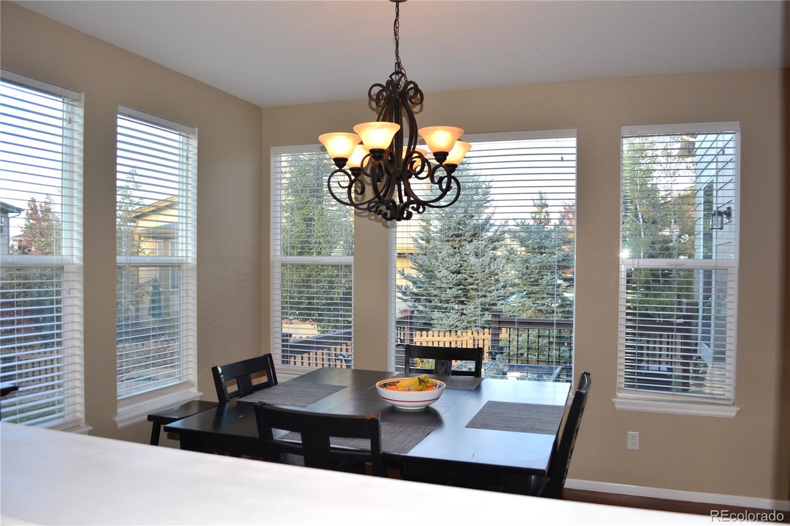 10836 Brooklawn Road Highlands Ranch, CO 80130 - Photo 4 of 25