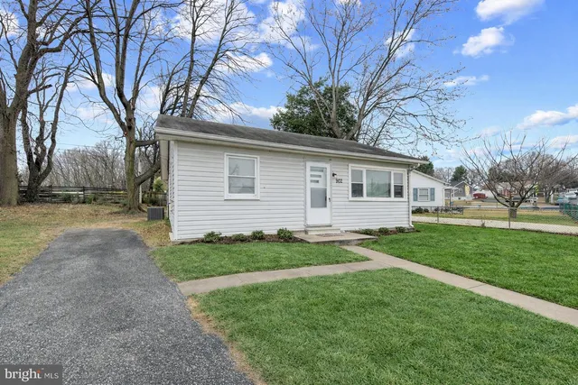 a backyard of a house with plants and large tree