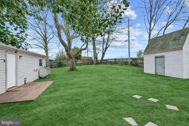 a backyard of a house with plants and large tree