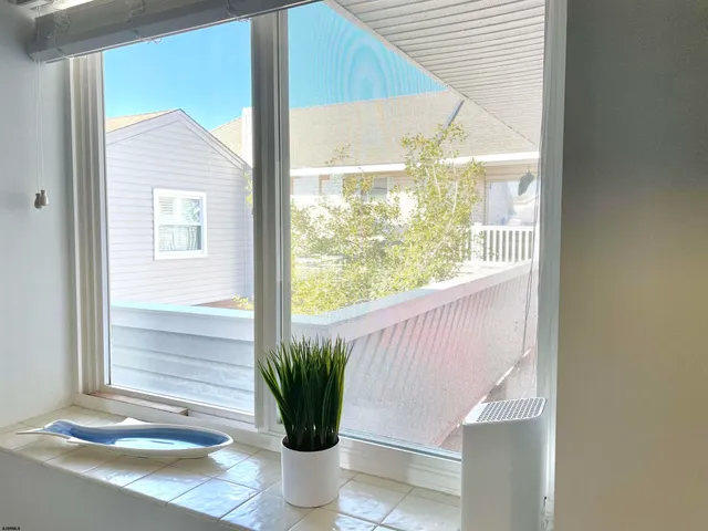 a view of a potted plants in front of a glass door