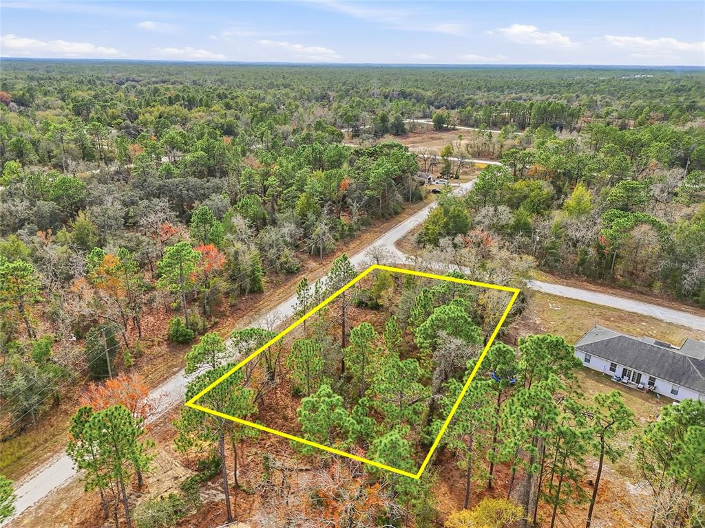 16364 Cayman Road Brooksville, FL 34614 - Photo 12 of 16