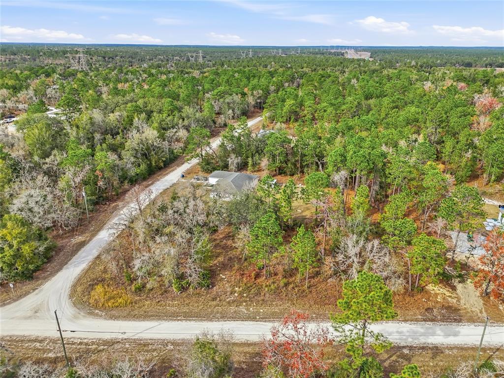 16364 Cayman Road Brooksville, FL 34614 - Photo 6 of 16