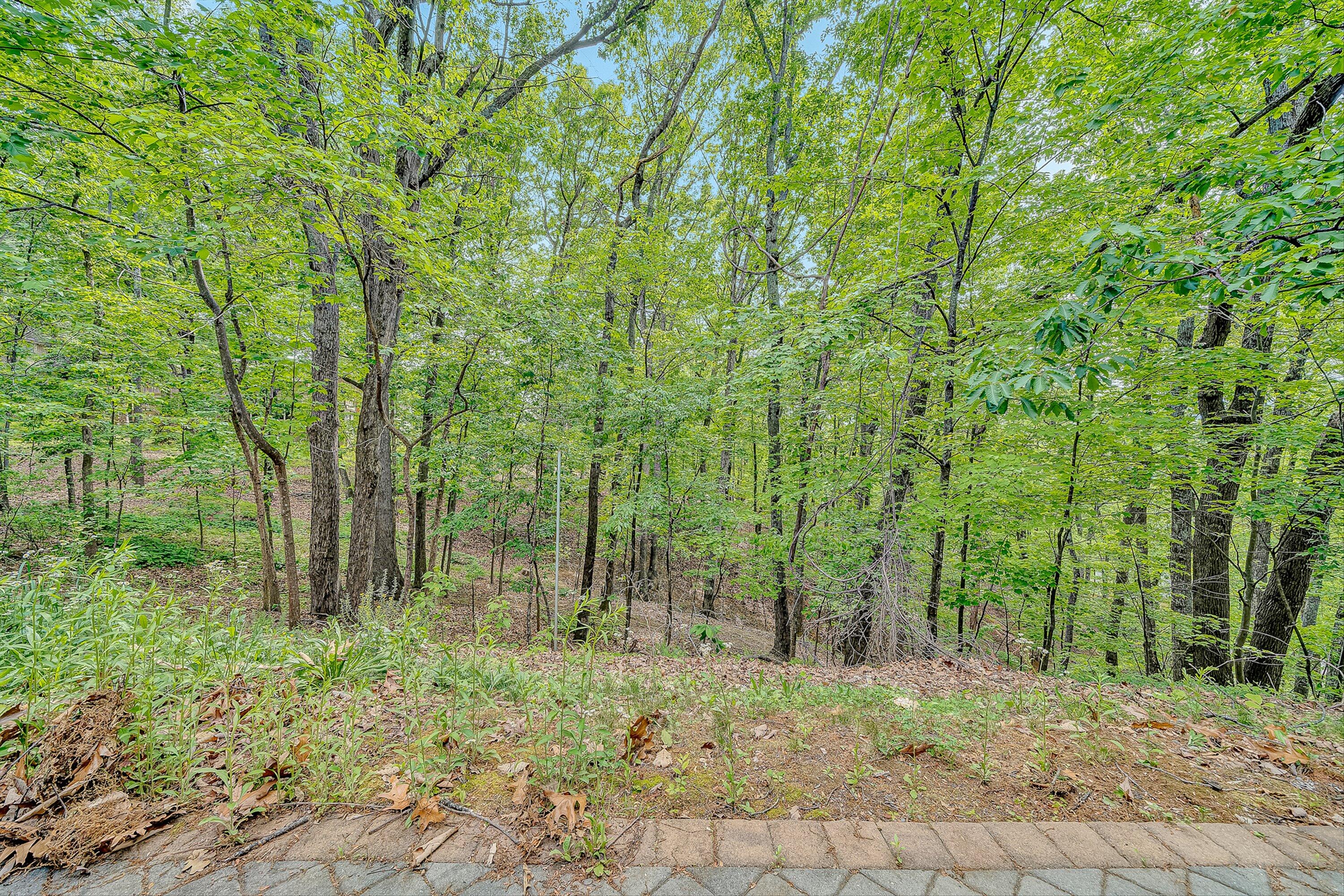 5206 Falcon Ridge Road Roanoke, VA 24018 - Photo 37 of 38 37-VM-06834