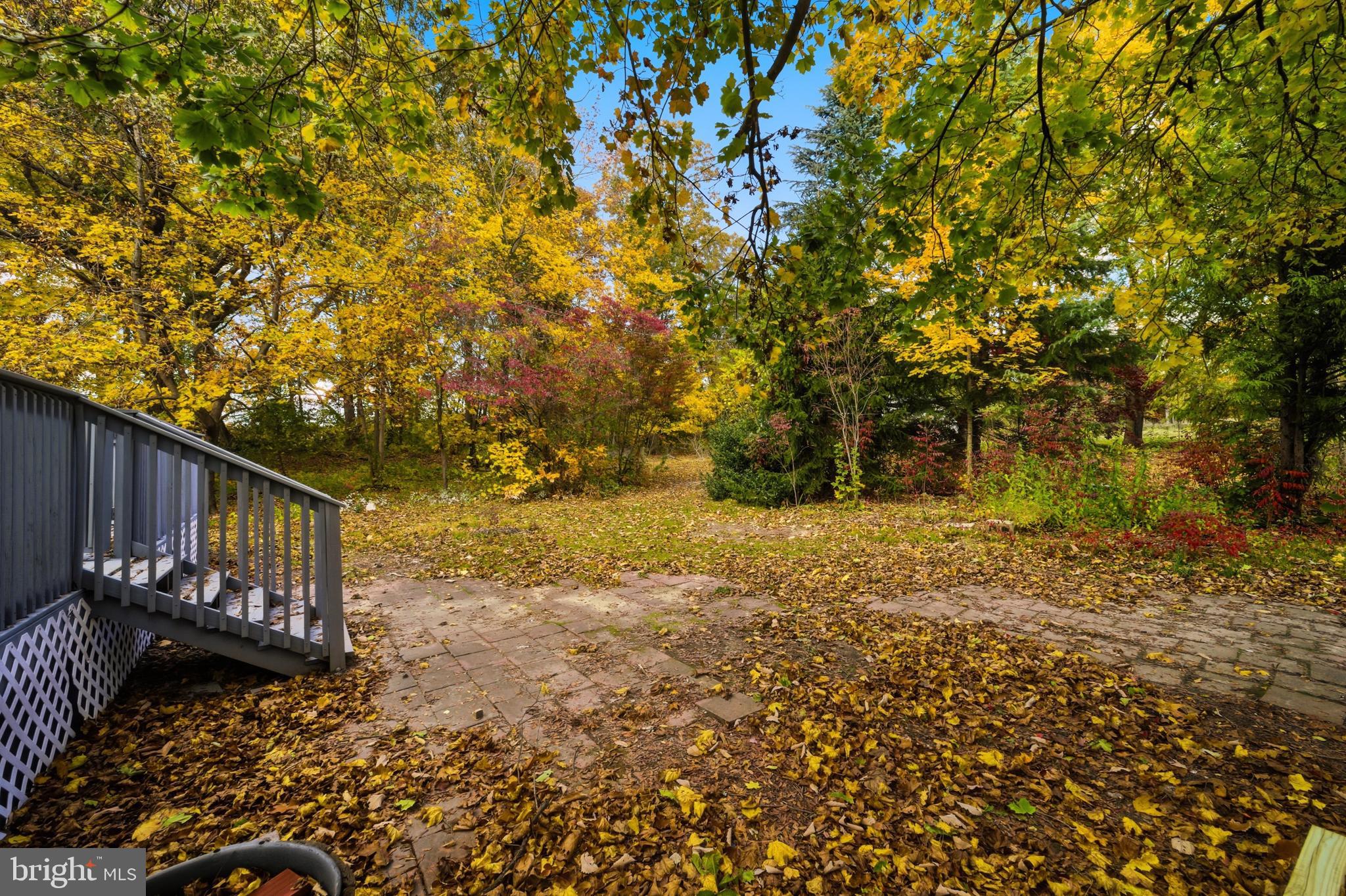 280 Qtn Marlboro Road Salem, NJ 08079 - Photo 3 of 37 a view of a pathway of a yard