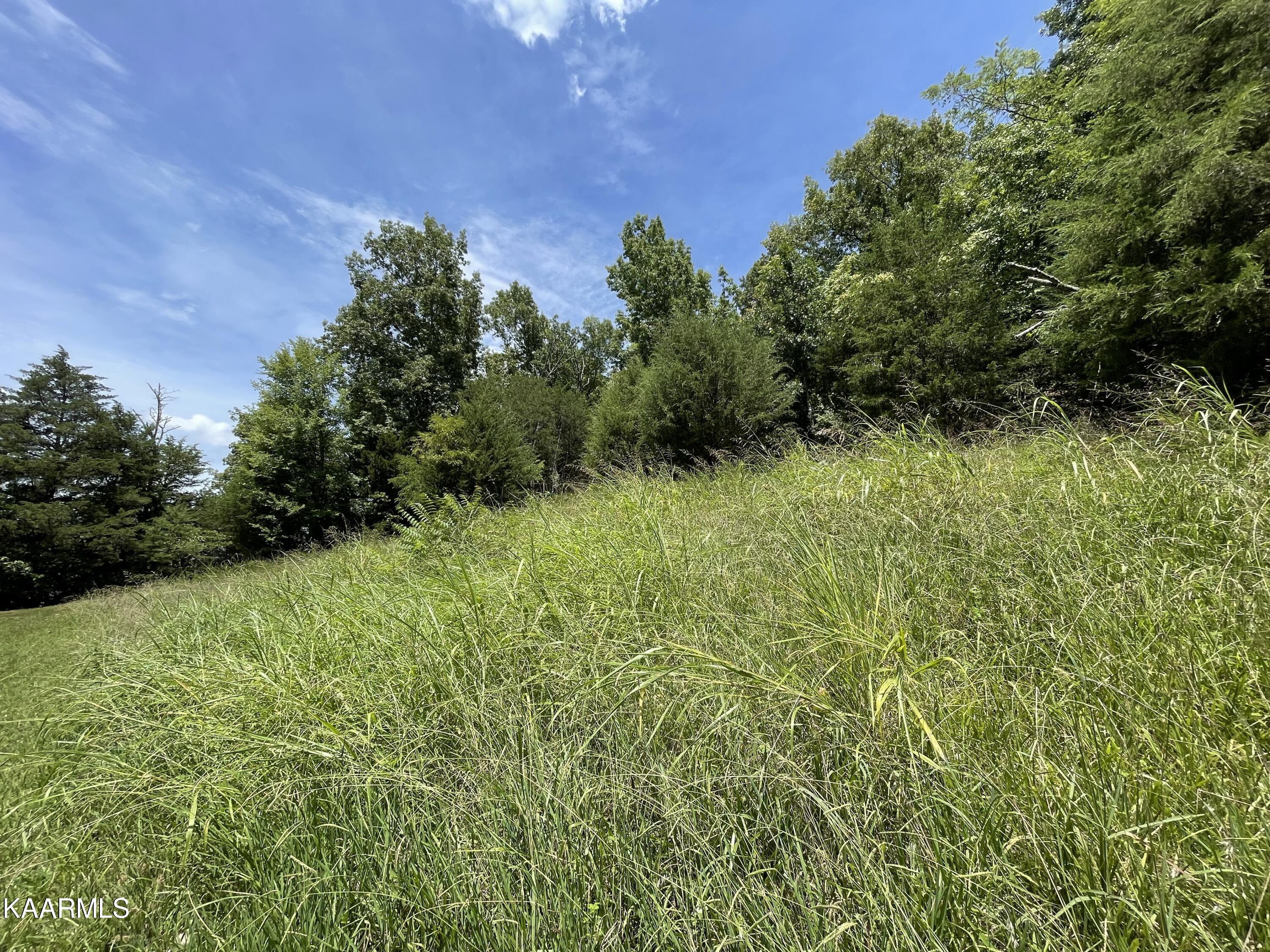 102 Lakeshore Way Newport, TN 37821 - Photo 2 of 11 IMG_6999