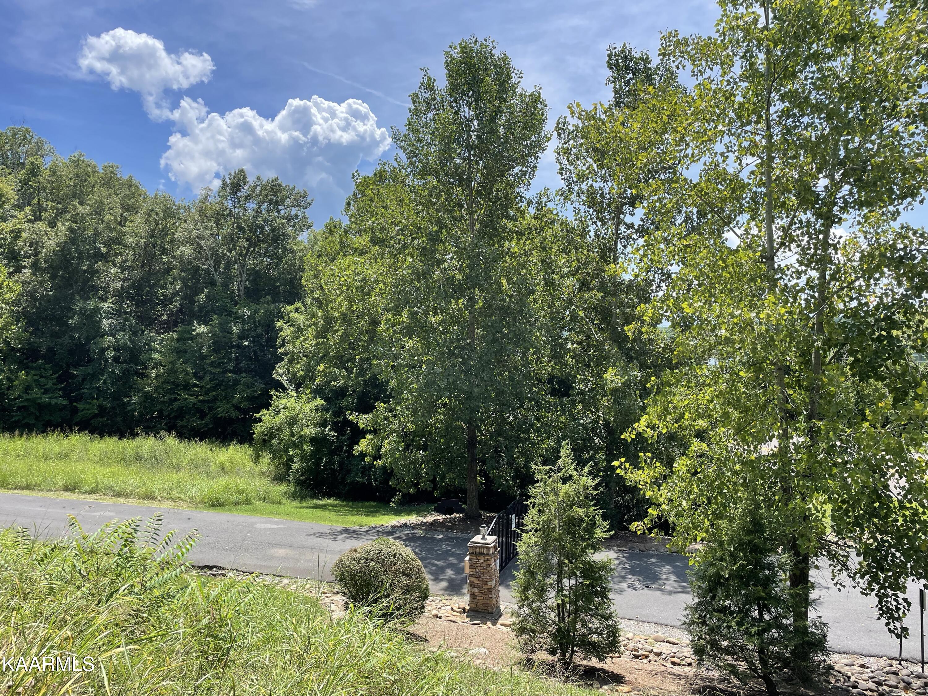 102 Lakeshore Way Newport, TN 37821 - Photo 5 of 11 IMG_7003