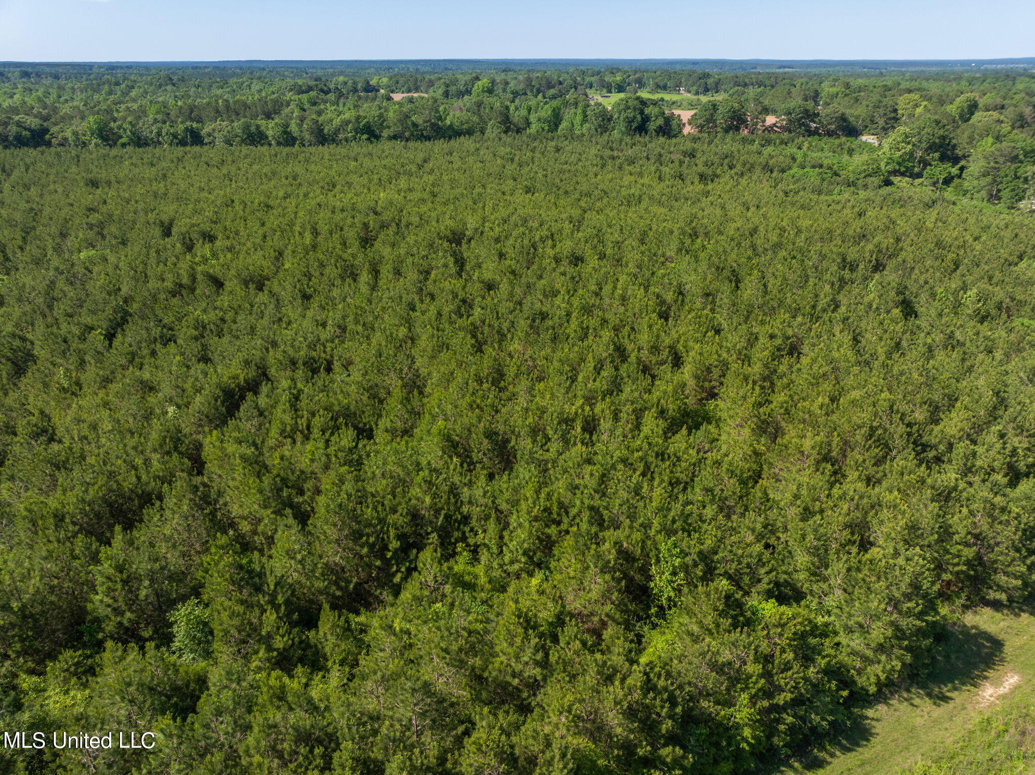 24 Ridgeland Road Bassfield, MS 39421 - Photo 3 of 6 3438_MS-42_Parcel_4-3