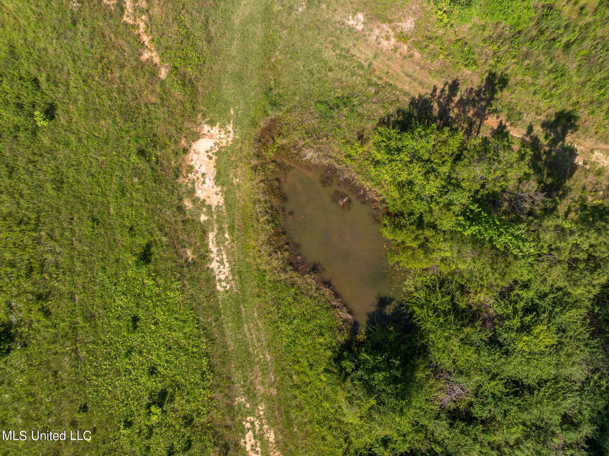 24 Ridgeland Road Bassfield, MS 39421 - Photo 6 of 6 3438_MS-42_Parcel_4-6