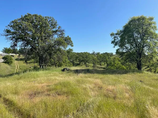 $20,000 | 1746 Las Flores Court, La Grange, CA 95329